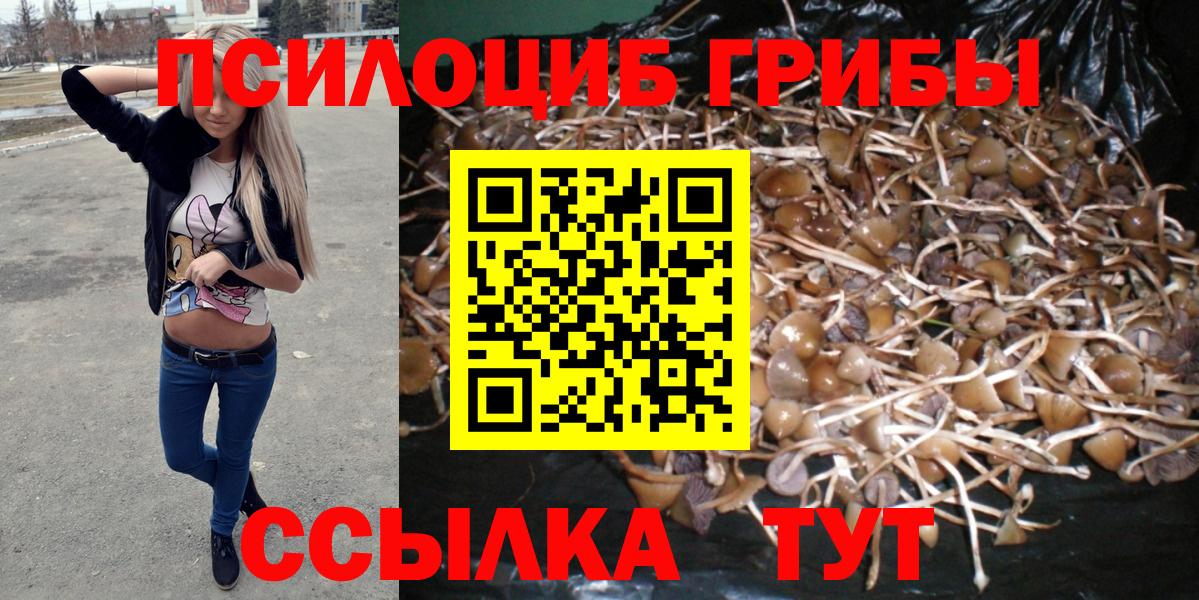 Галлюциногенные грибы GOLDEN TEACHER  Вход с VPN  Псков 